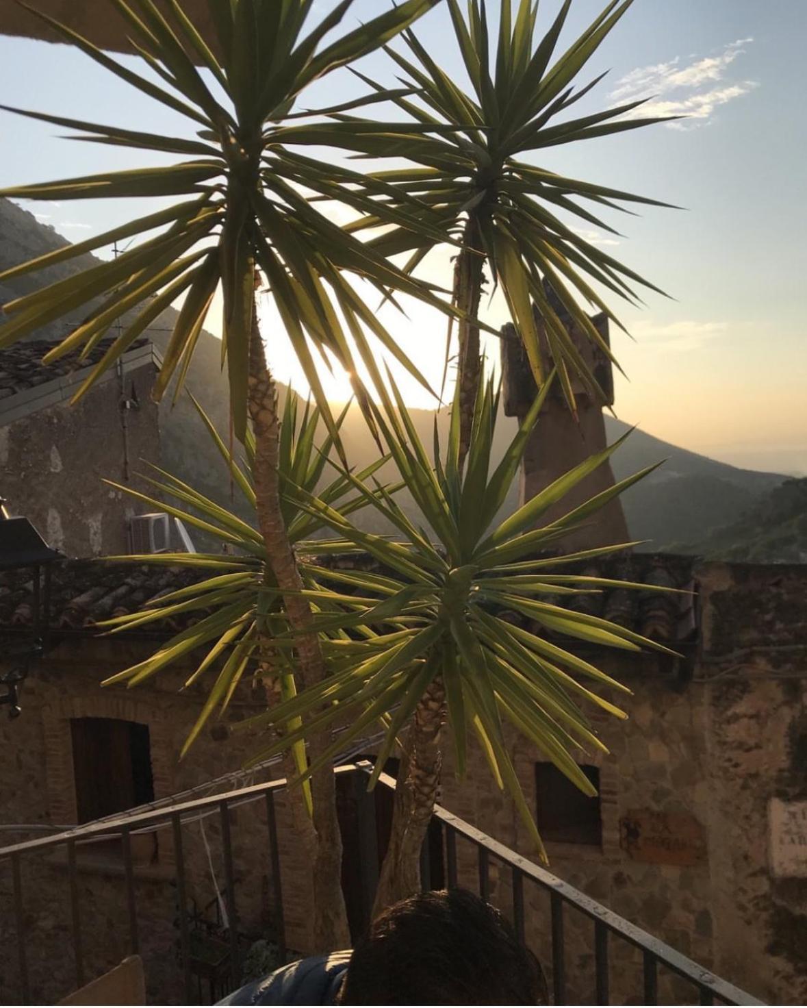 B&B Dhafna Civita Dış mekan fotoğraf