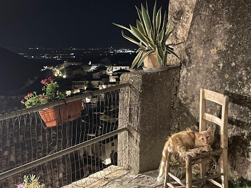 B&B Dhafna Civita Dış mekan fotoğraf